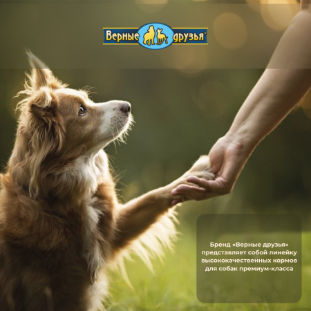 Верные_друзья