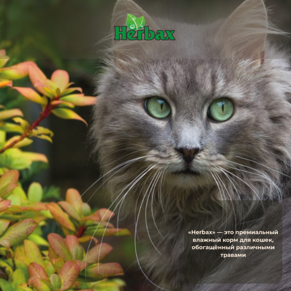 - Пауч для кошек HERBAX Рыбное ассорти в соусе с мятой 100 гр.