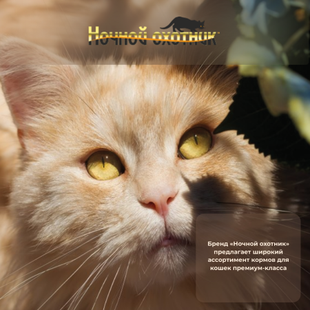 Ночной_охотник