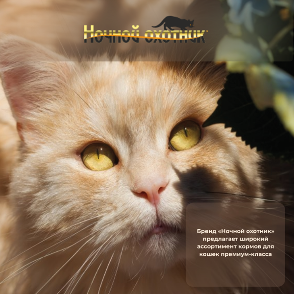 Консервы для хорьков НОЧНОЙ ОХОТНИК ассорти ж.б. 415гр.