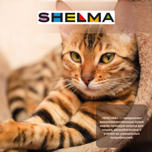 SHELMA